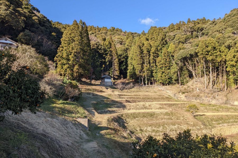 1,000年続く棚田